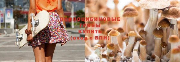 2c-b Армянск