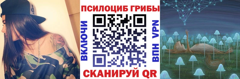 Псилоцибиновые грибы Psilocybe  Купить закладки  Урус-Мартан 